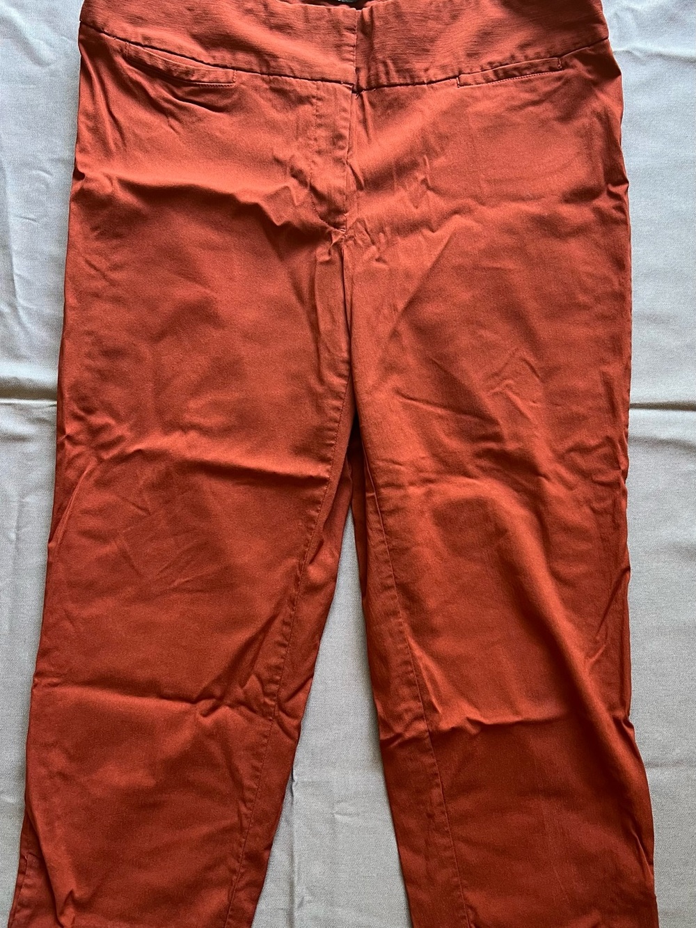 Lane Bryant Burnt Orange Chino Pants